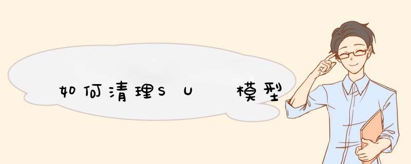如何清理SU 模型